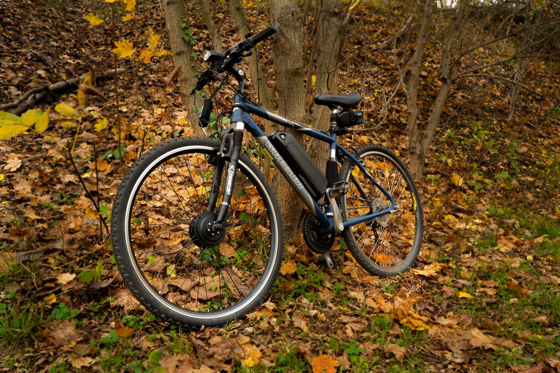 Wheeler 3600 Cross - konwersja na elektryczny z zestawem Rapid S500 "City"