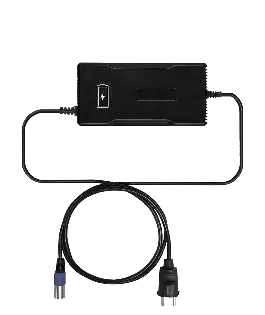 Ładowarka 36V 5A 10S EcoCharger (42V max)